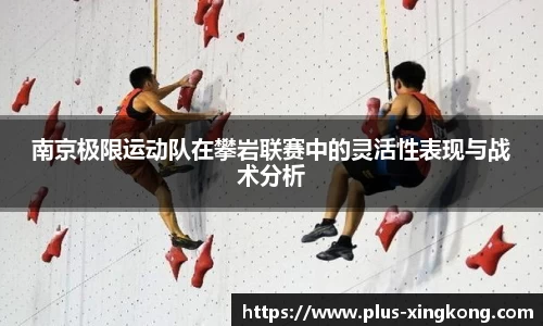 星空体育官方网站