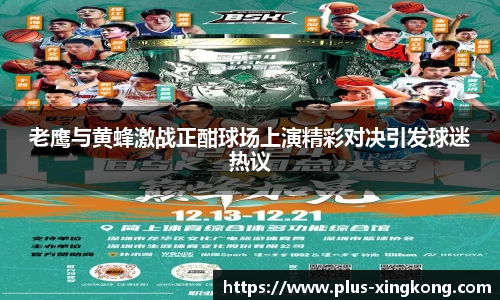 老鹰与黄蜂激战正酣球场上演精彩对决引发球迷热议